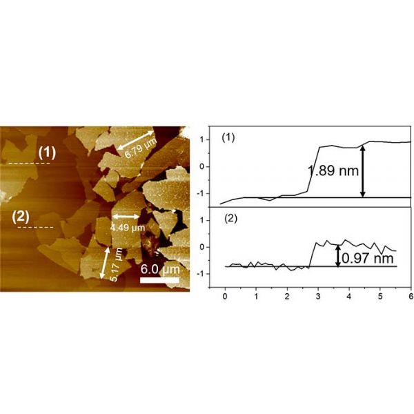 Graphene Slurries RSG-GW2 - RSG-GW2