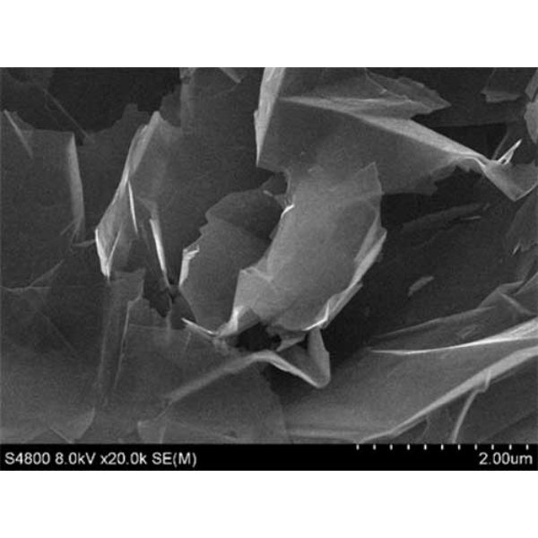 グラフェンスラリ-RSG-GW2 - RSG-GW2